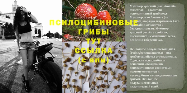 шишки Балабаново