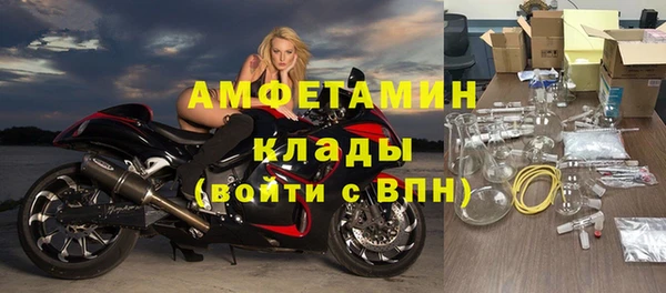 шишки Балабаново