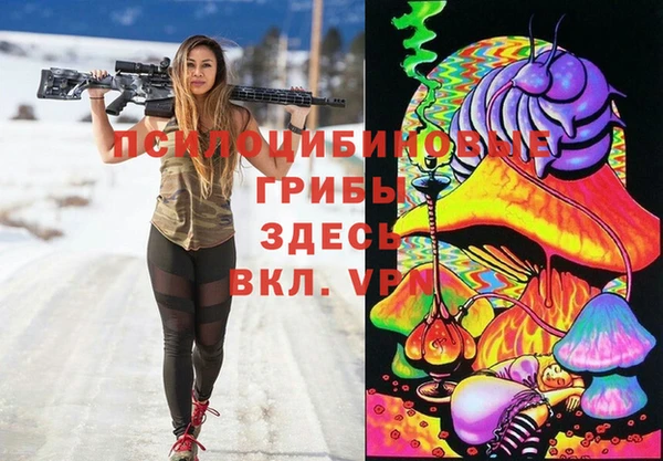 шишки Балабаново