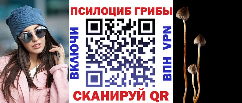 blacksprut ссылки Волхов Псилоцибиновые грибы прущие грибы