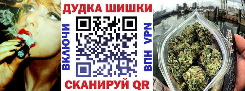 Конопля Amnesia  наркотики  Волхов 